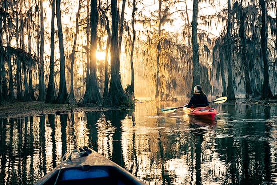 Champagne's Swamp Tours at Lake Martin